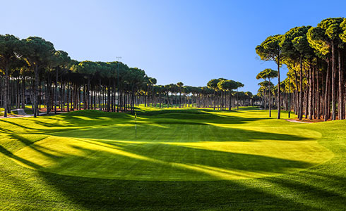 Regnum Carya | Sports | Green Therapy Golf