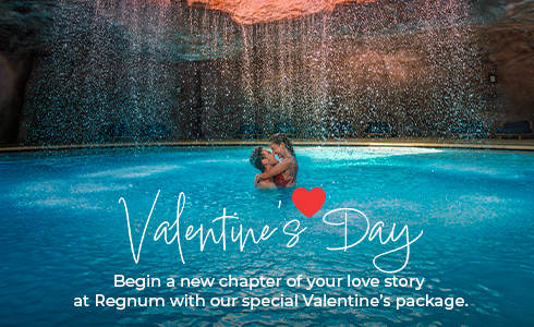 Card 490X300px EN DP