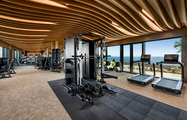 REGNUM THE CROWN TAURUS Fitness Club 01 Card