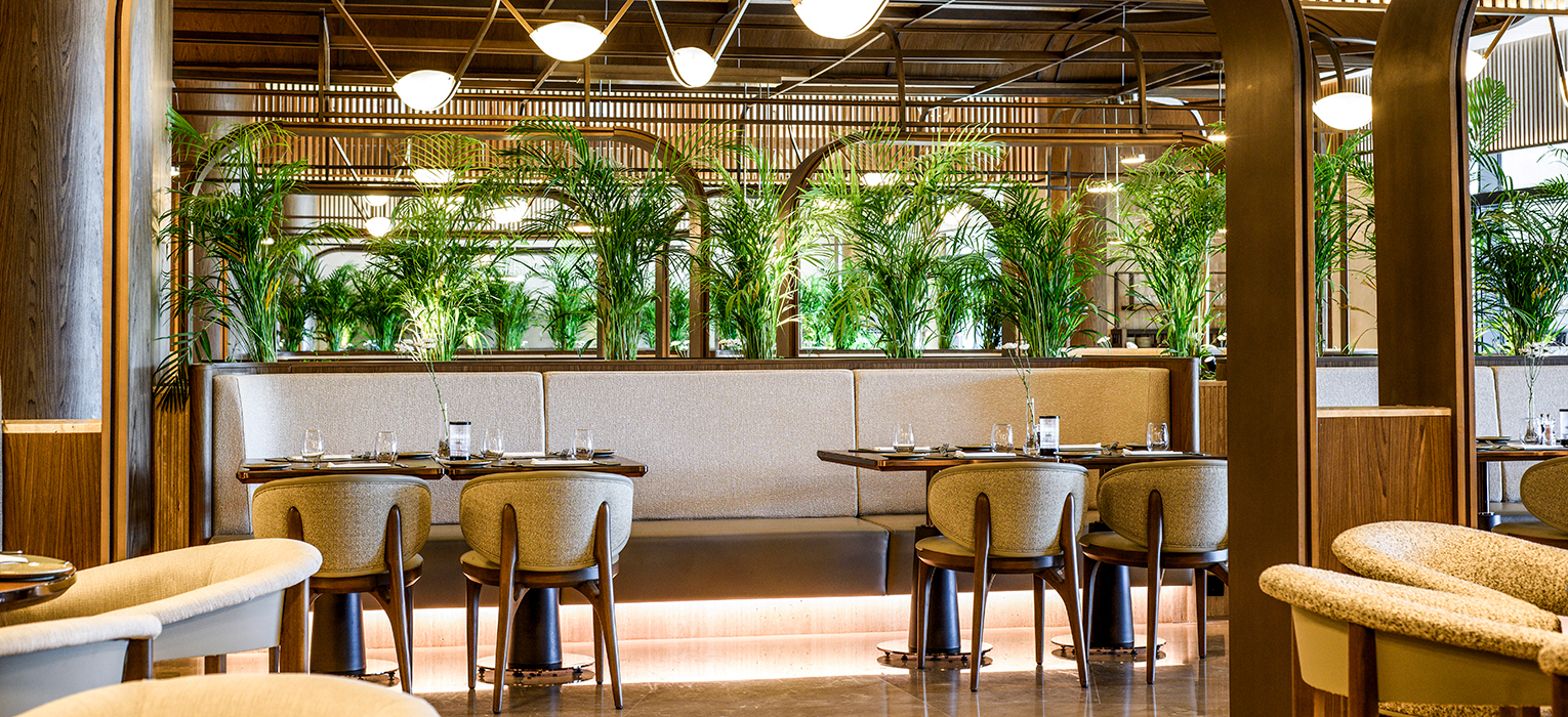 REGNUM THE CROWN DAPHNE 02