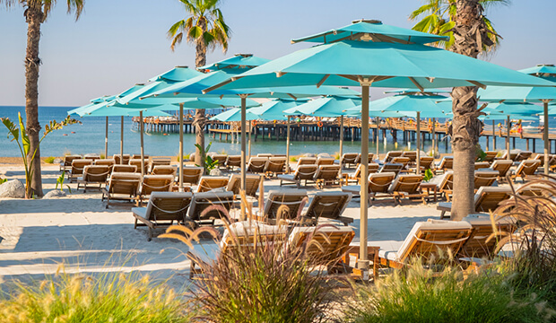 Regnumcarya Post90 S