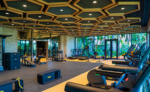 Regnumcarya Beehive Fitnesscenter 02 Card